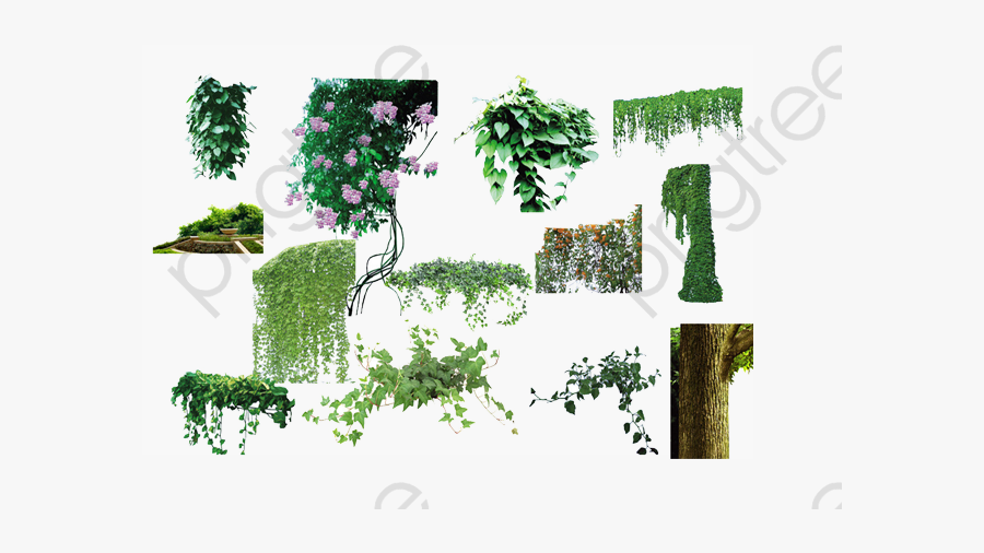 Tree Clipart Collection - Climbing Wall Tree Png, Transparent Clipart