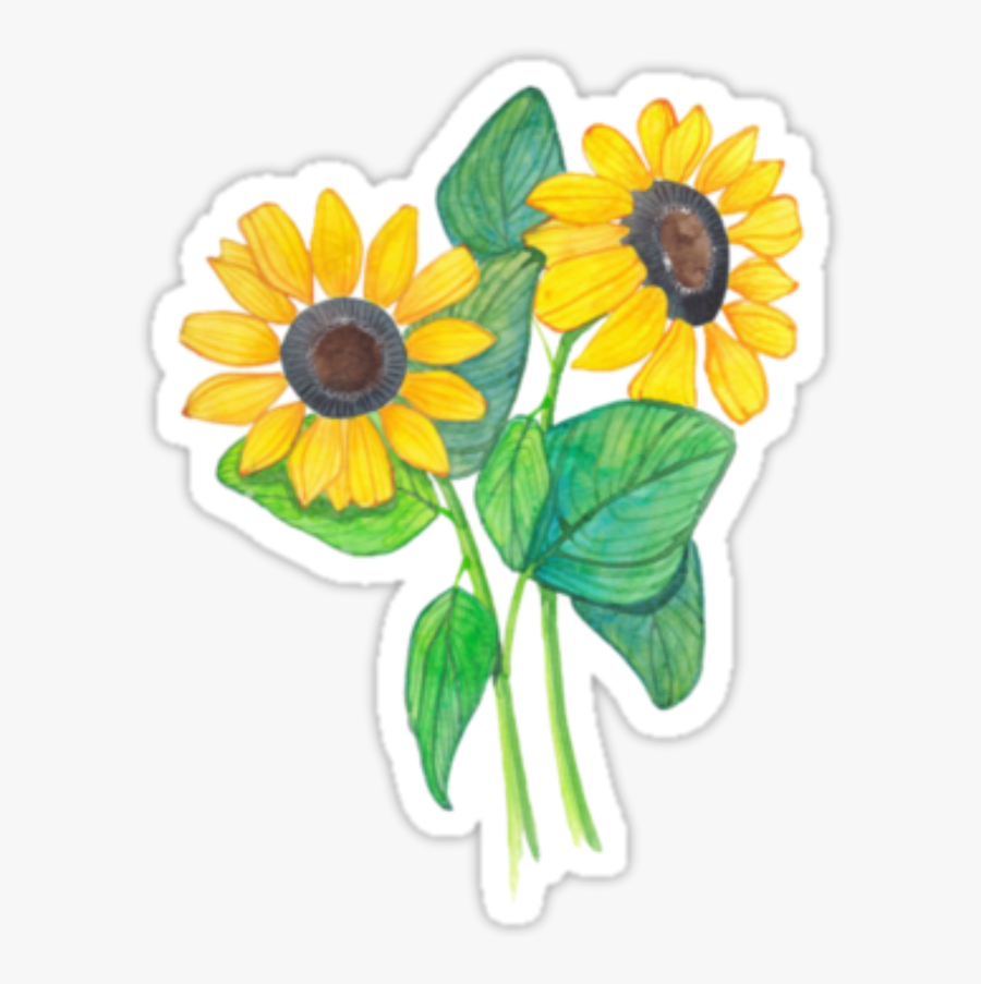 Sunflower-seed - Transparent Tumblr Sticker Png, Transparent Clipart
