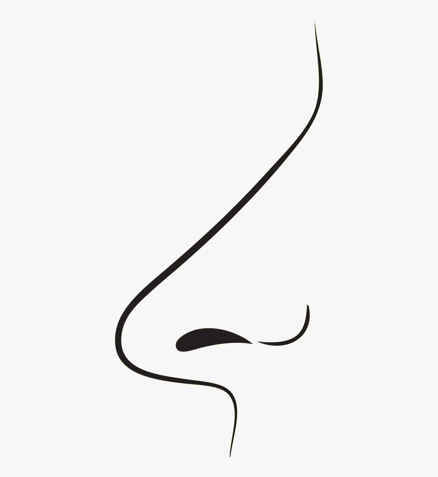 To Showcase How Years Of Hard Work, From A Selection, Transparent Clipart