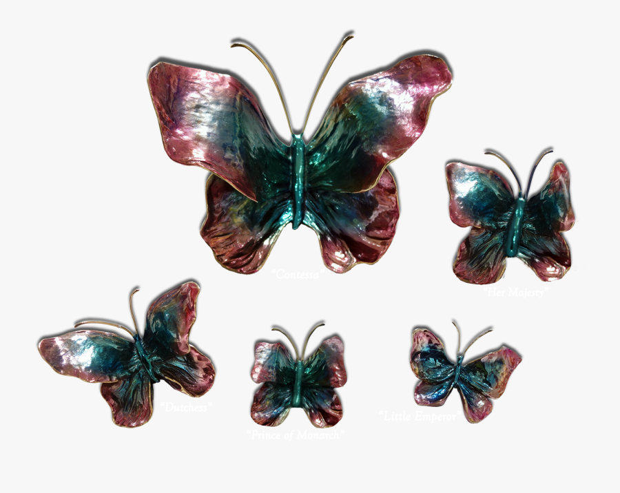 Ron & Sheila Ruiz Indigo Butterfly Exposures International, Transparent Clipart