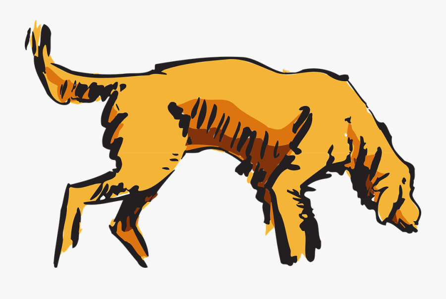 Dog, Pet, Animal, Curious, Hunting, Sniffing, Canine - Dog Sniffing .png, Transparent Clipart