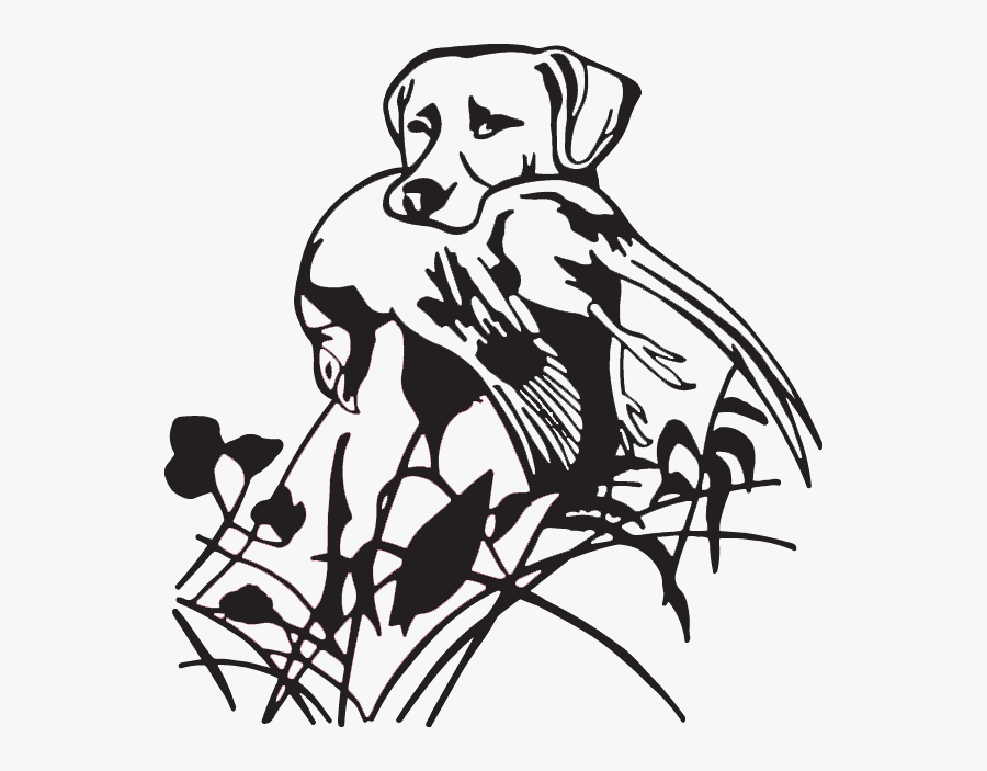 Duck Goose Labrador Retriever Hunting Dog Waterfowl - Hunting Dog Vector Png, Transparent Clipart