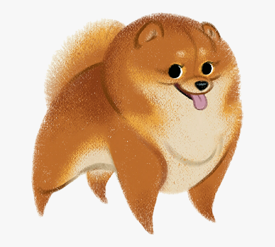 #pompom #pomeranian #dog #doggo #sketch #art #animal - پارامین کارتونی, Transparent Clipart