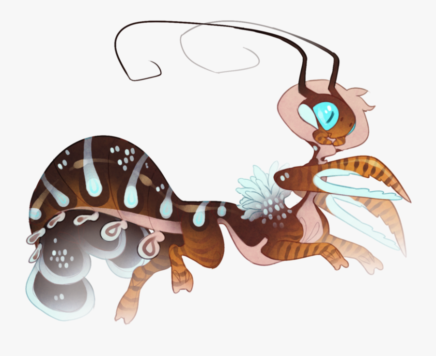 Crabs Clipart Shrimp - Illustration, Transparent Clipart