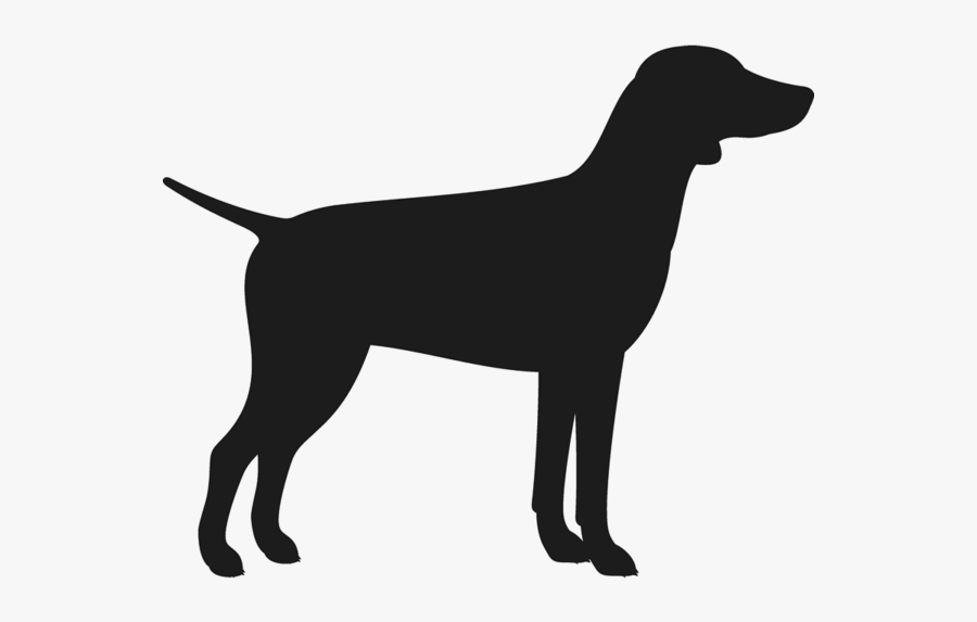 Labrador Retriever Flat-coated Retriever Dog Breed - English Bull Terrier Head Silhouette Png, Transparent Clipart