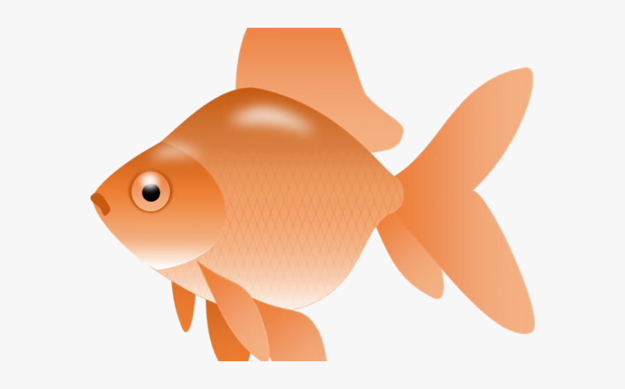 Transparent Goldfish Snack Png - Goldfish, Transparent Clipart