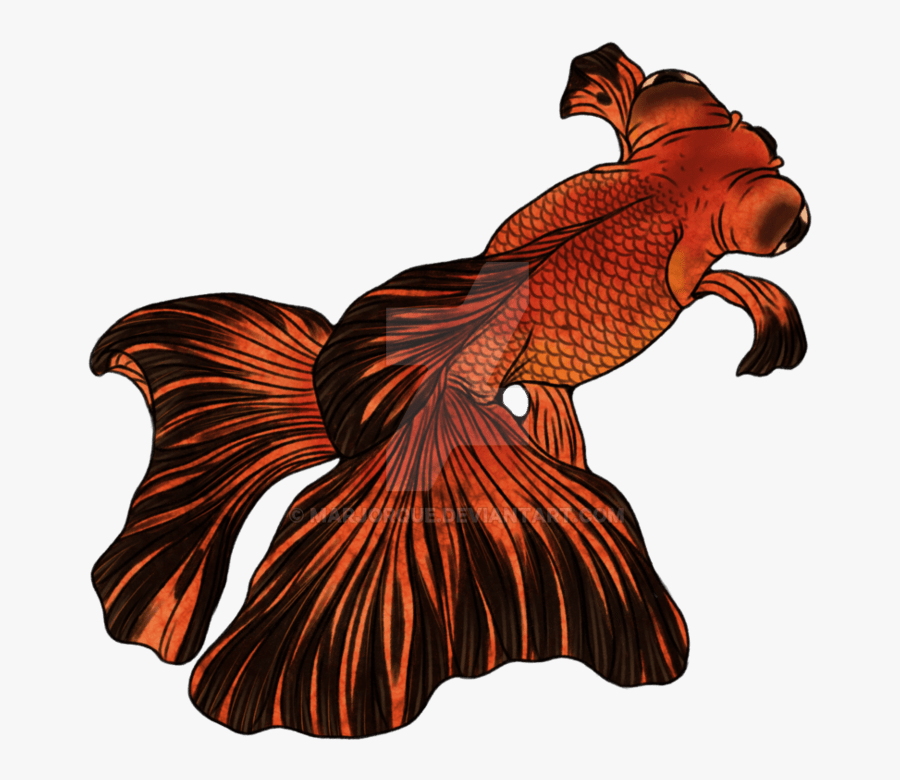 Illustration, Transparent Clipart