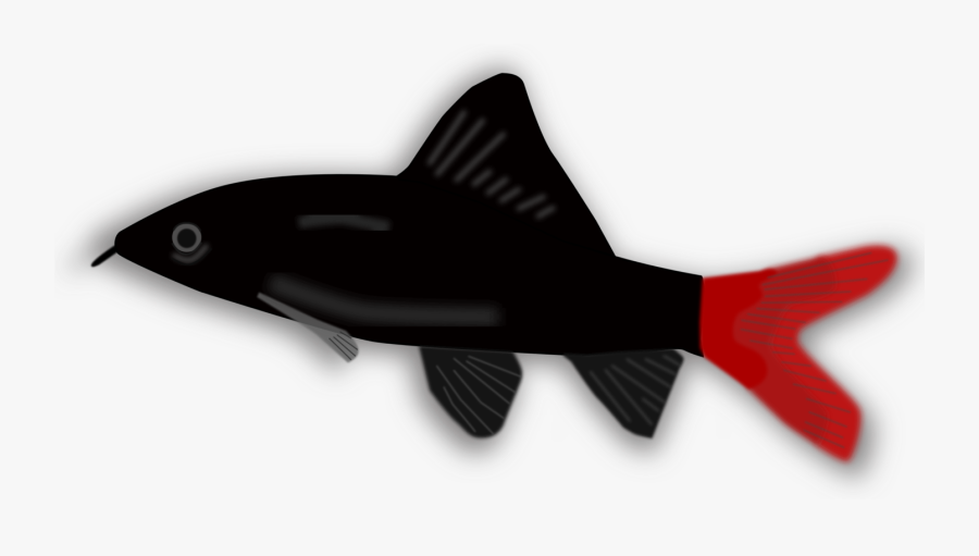 Fish,fin,wing - Small Black And Red Fish, Transparent Clipart