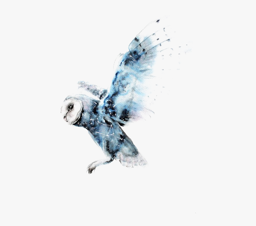 Owl Art Potter Watercolor Harry Painting Drawing Clipart - Rabidzen All I Am, Transparent Clipart