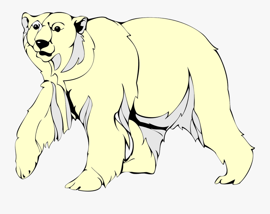 White Arctic Bear Free Picture - De L Arctique Avec Des Ours, Transparent Clipart
