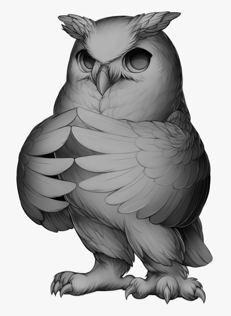 Barn Owl Base, Transparent Clipart