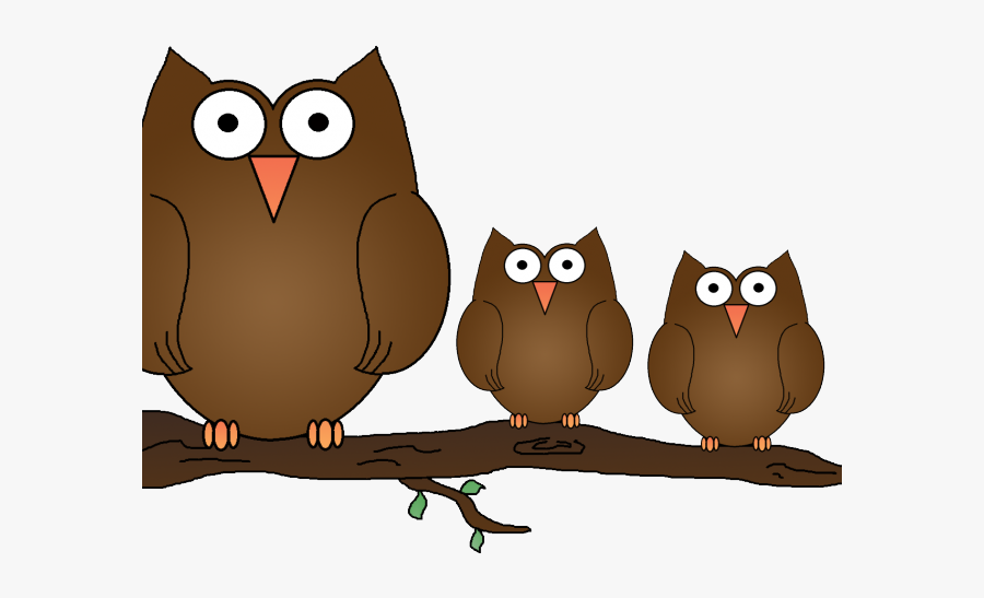 Owls Clipart, Transparent Clipart