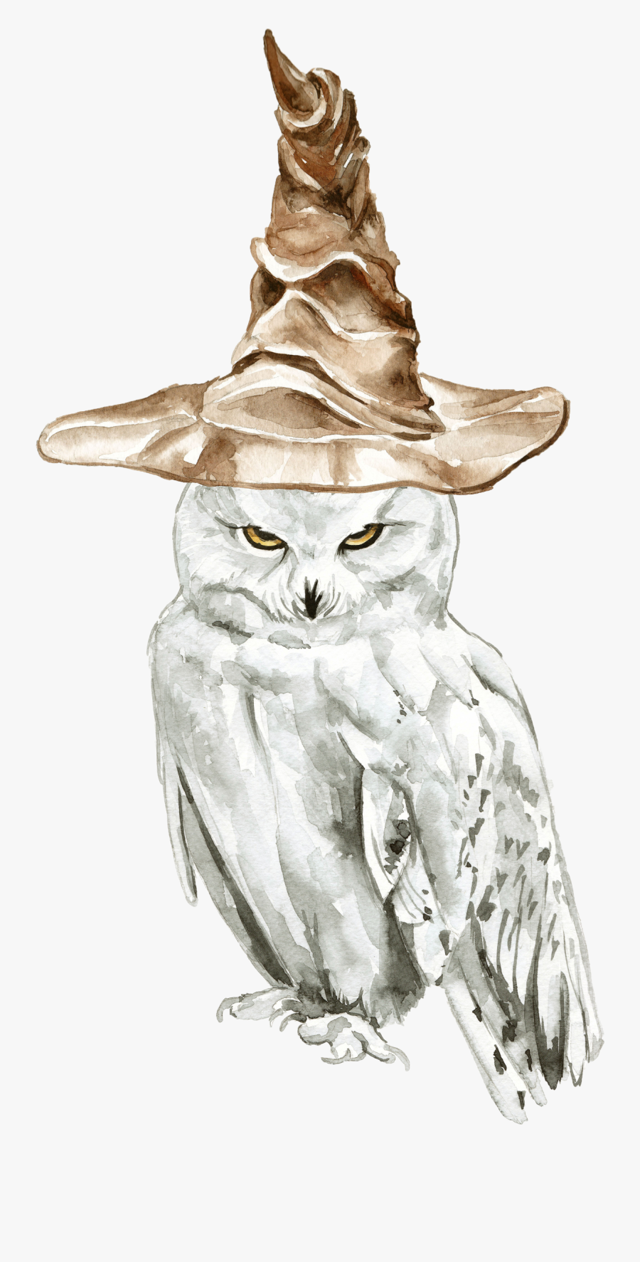 Owl Drawing Illustration Harry Potter Sketch - Harry Potter Owl Drawing, Transparent Clipart