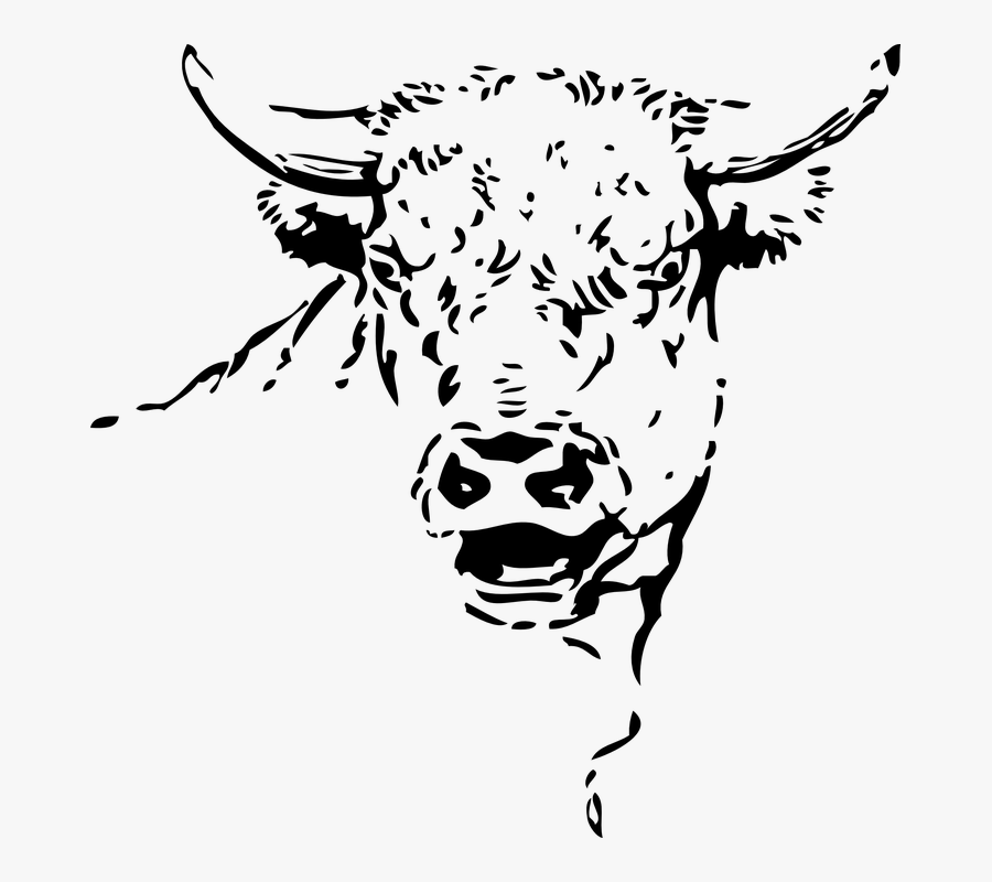 Transparent Cow Face Clipart Black And White - Milk Jokes In Hindi, Transparent Clipart