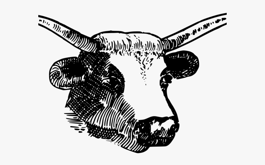 Bulls Clipart Bull Horn - Horns Clipart, Transparent Clipart