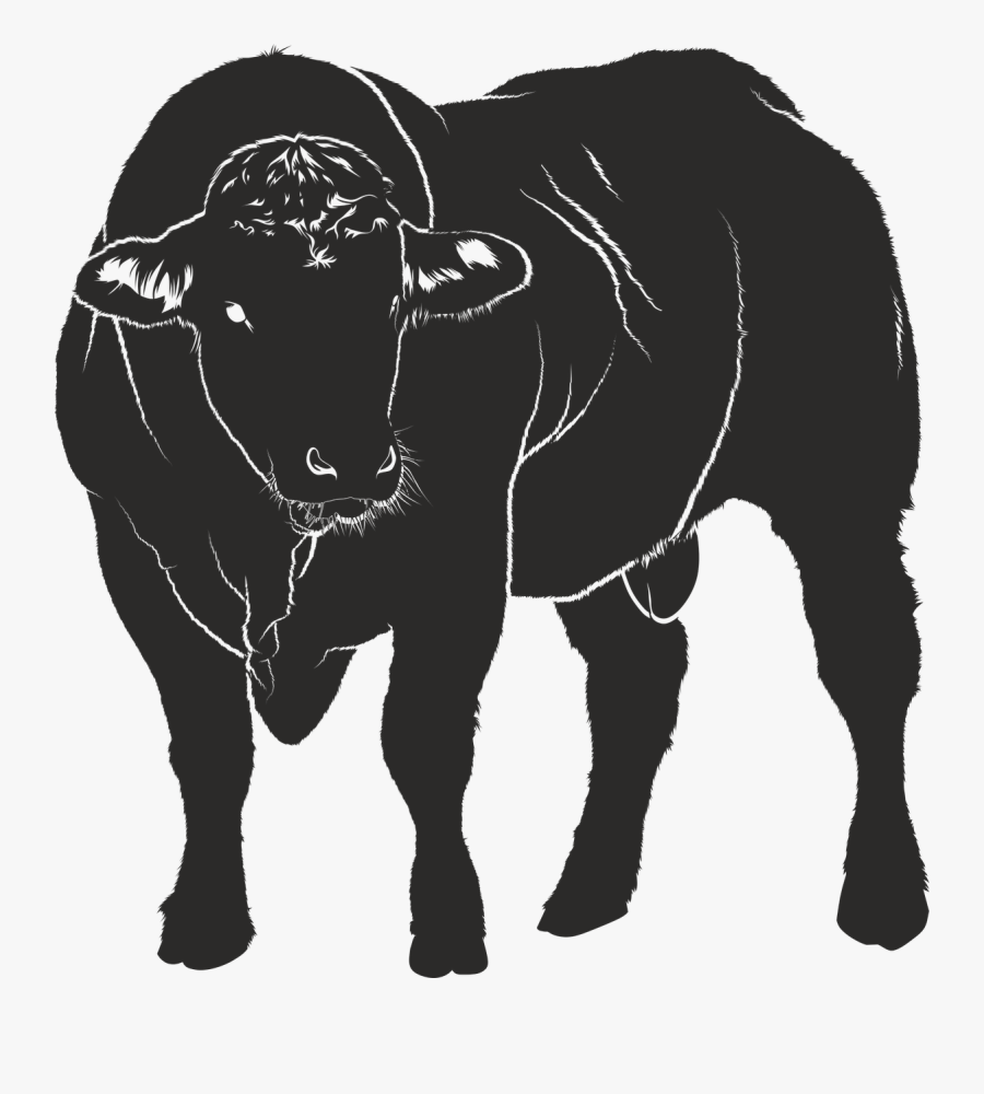 Bull Silhouette Black Free Picture - Taureau Svg, Transparent Clipart