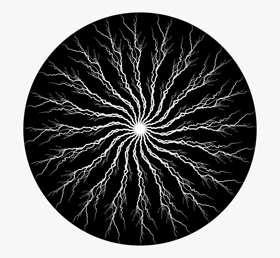 Symmetry,monochrome Photography,tree - Portable Network Graphics, Transparent Clipart