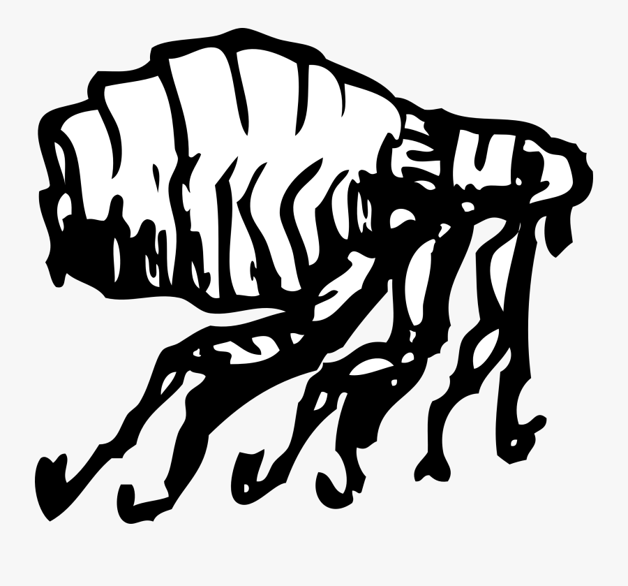 Flea - Black Death Fleas Drawing, Transparent Clipart