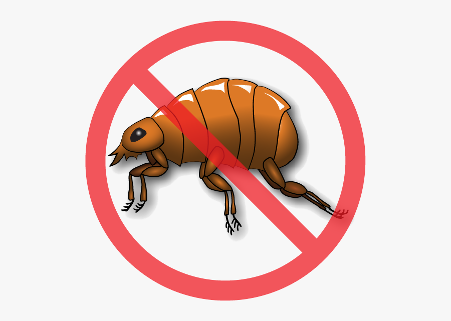 No Flea Sign Png, Transparent Clipart