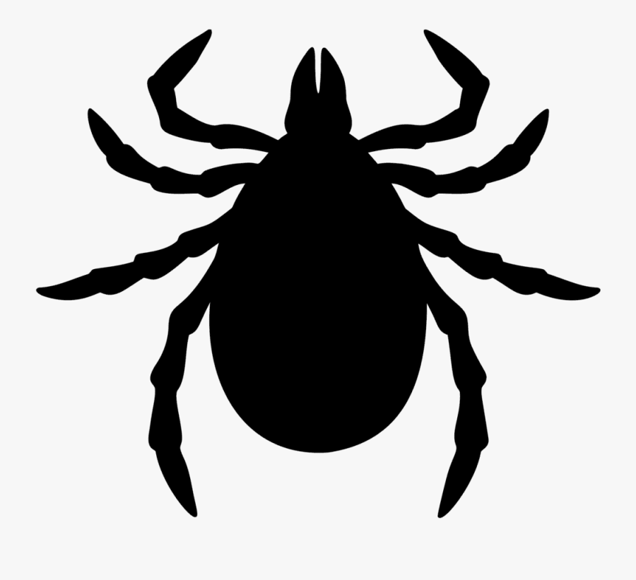 Fleas & Ticks - Ticks Clipart, Transparent Clipart