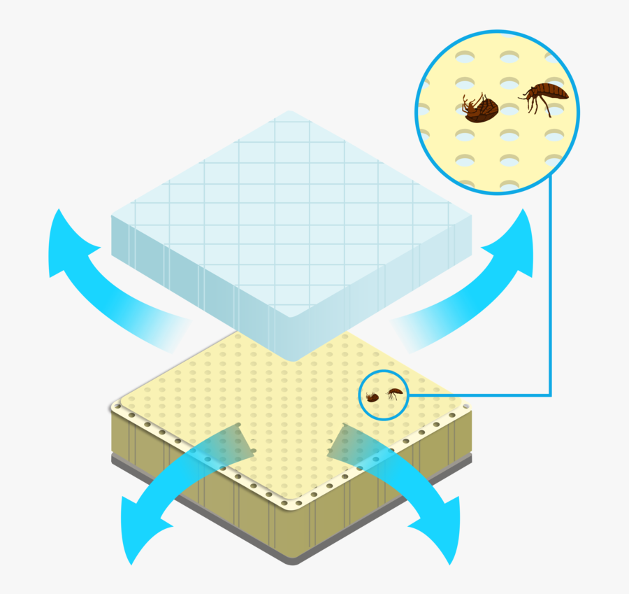 Arthrocase Bed Bug Box Spring Cover Clipart , Png Download - Illustration, Transparent Clipart