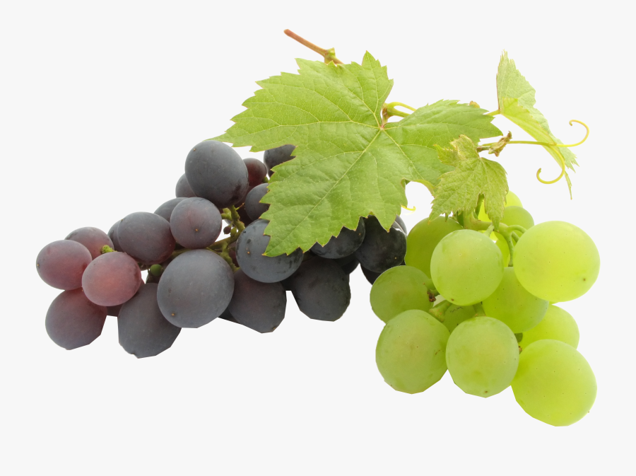 Grapes Png - Background Grape Seed Oil, Transparent Clipart