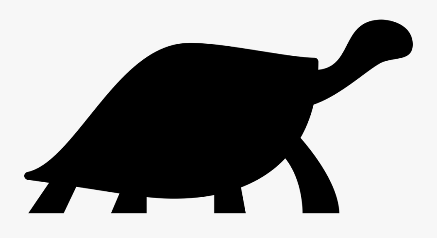 Turtle, Reptile, Animal - Turtle Facing Right Png, Transparent Clipart