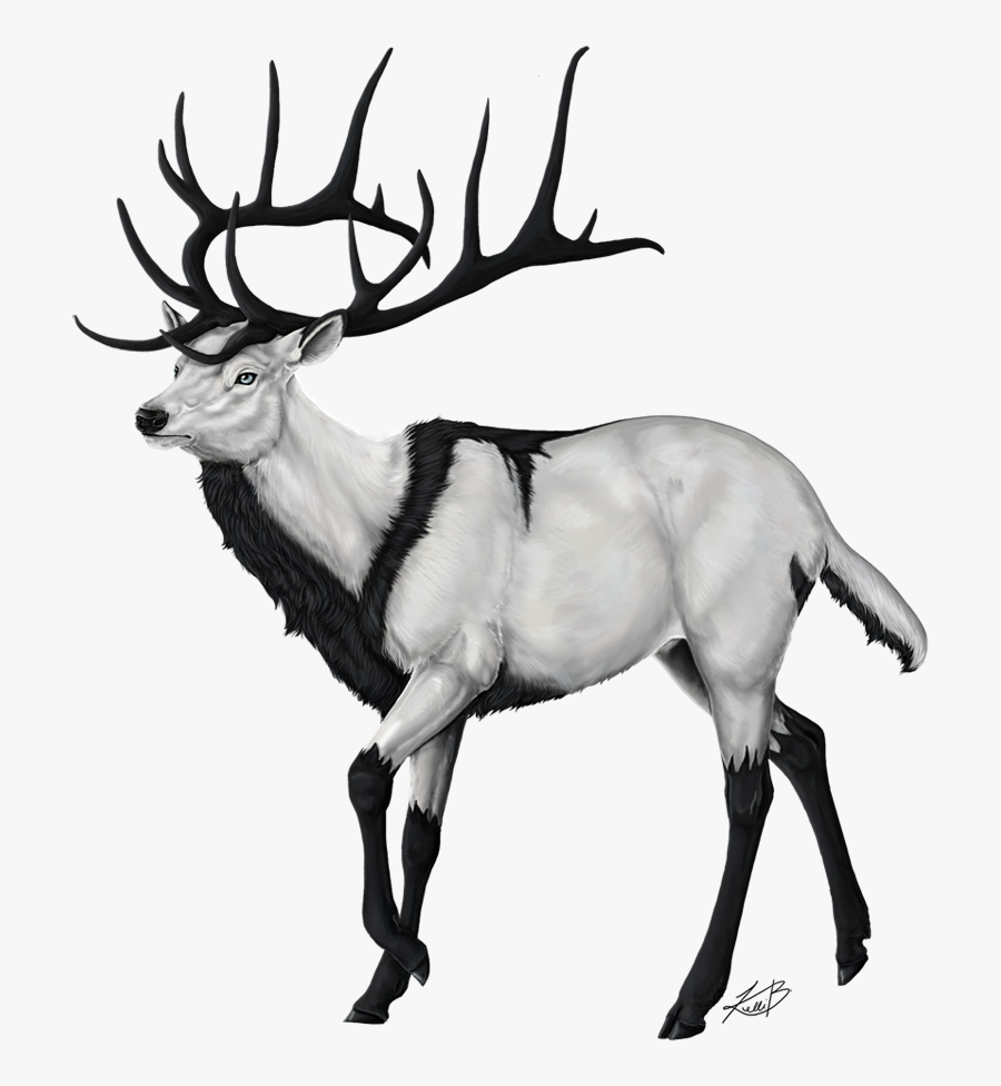 E V E N I D E - Drawing, Transparent Clipart