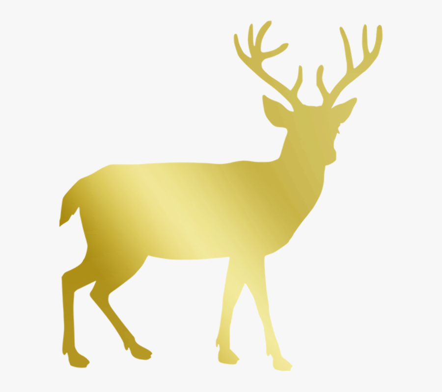 Deer Silhouette Transparent Background, Transparent Clipart