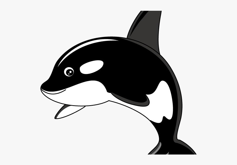 Killer Whale Clipart Png, Transparent Clipart