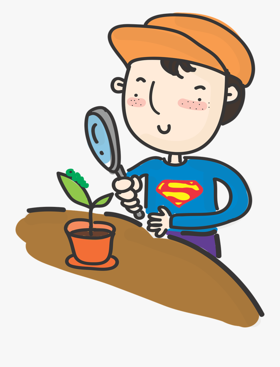 Boys, Observed, Magnifying Glass, Learning - Scientist With Magnifying Glass Clipart, Transparent Clipart