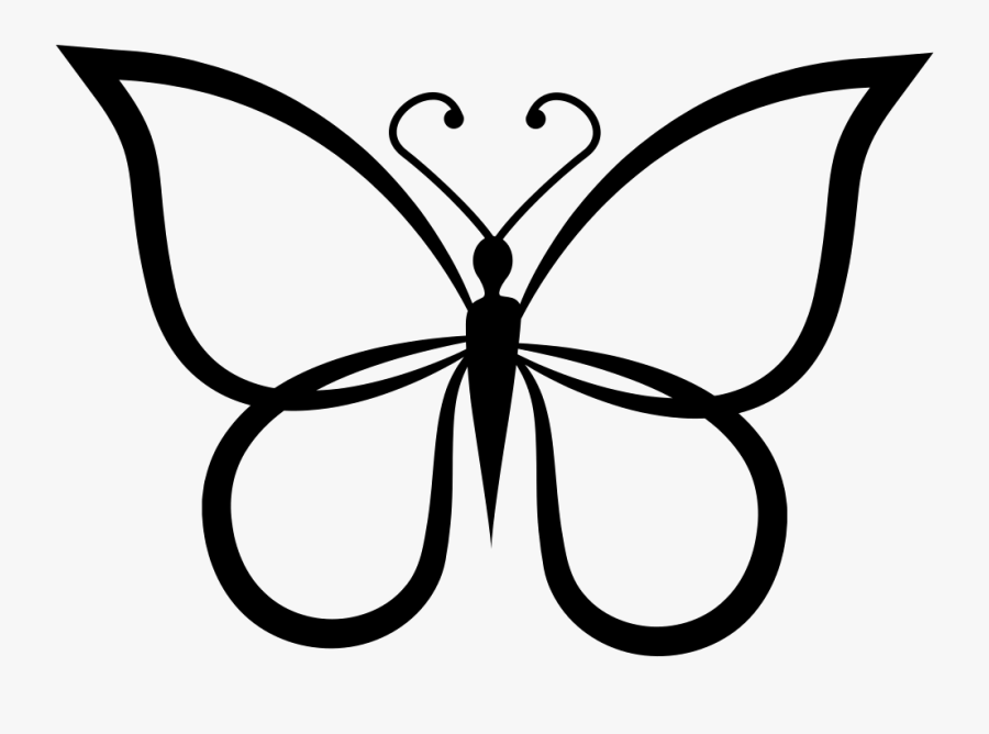 Butterfly Shape Outline Top View Comments - Butterfly Clipart Picture Black And White, Transparent Clipart