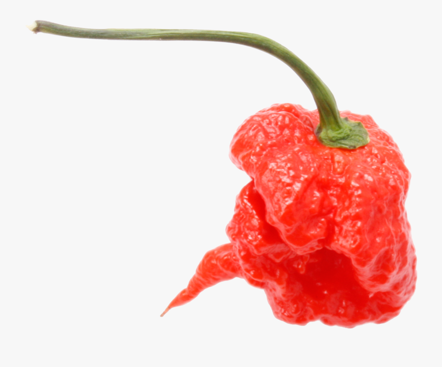 Carolina Reaper Png, Transparent Clipart