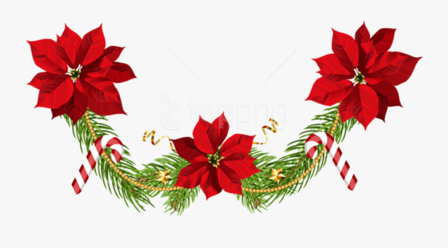 Transparent Poinsettia Clipart - Poinsettia Png, Transparent Clipart