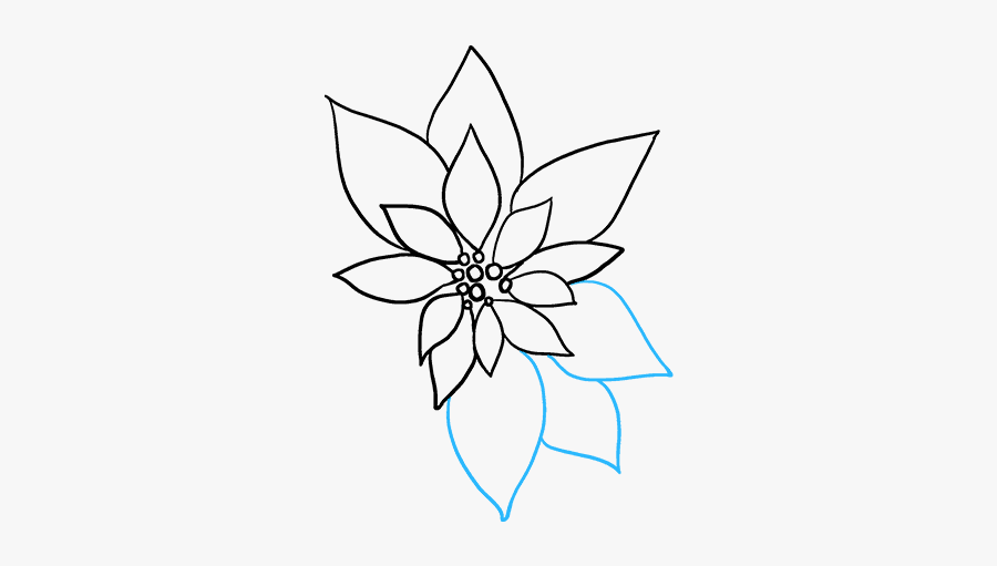 How To Draw Poinsettia - Line Art, Transparent Clipart