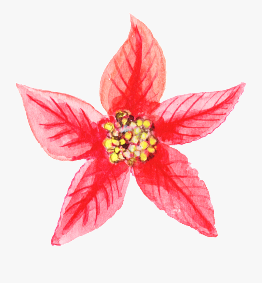 Christmas Star Png Transparent Background - Christmas Png, Transparent Clipart