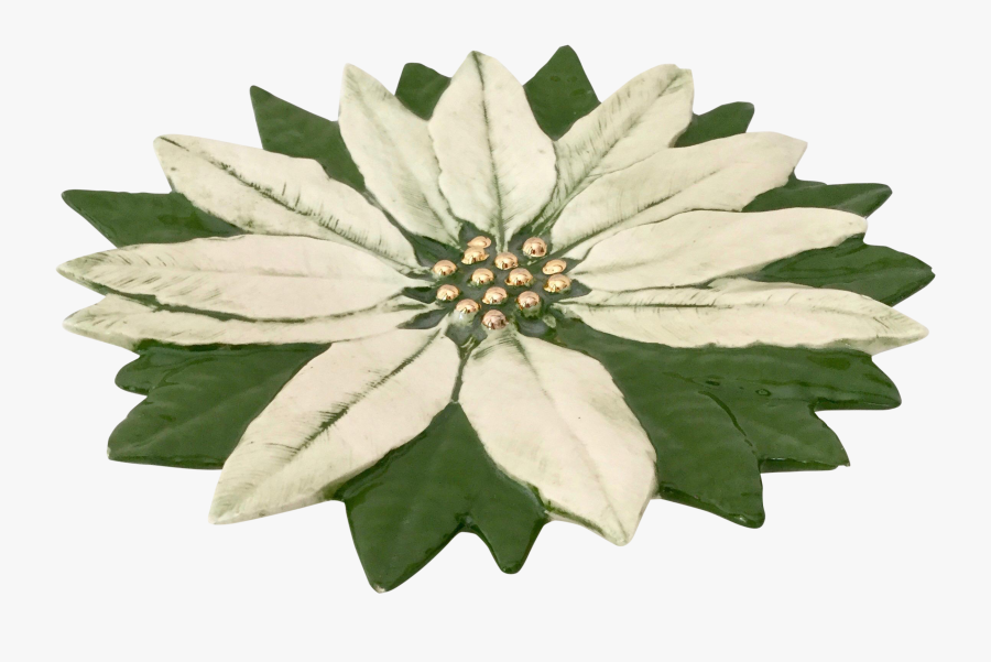 Transparent Poinsettia Clipart - African Daisy, Transparent Clipart