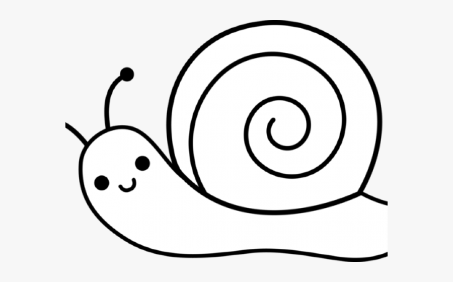Snail Black And White, Transparent Clipart
