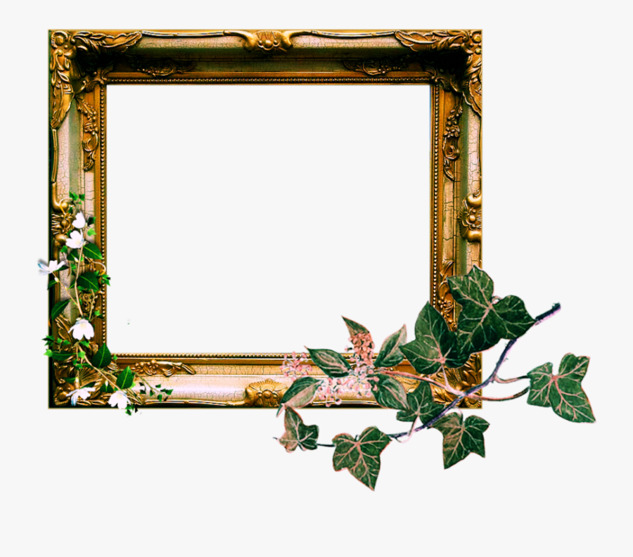 Vintage Frame Transpa Png Pictures Free Icons And Backgrounds - Ivy, Transparent Clipart