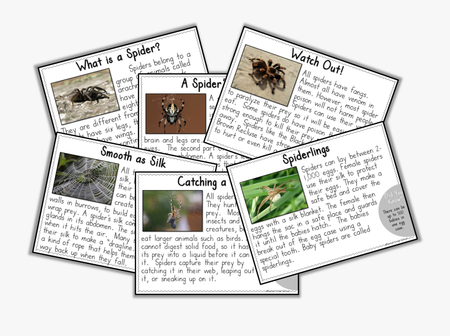 Paper, Transparent Clipart