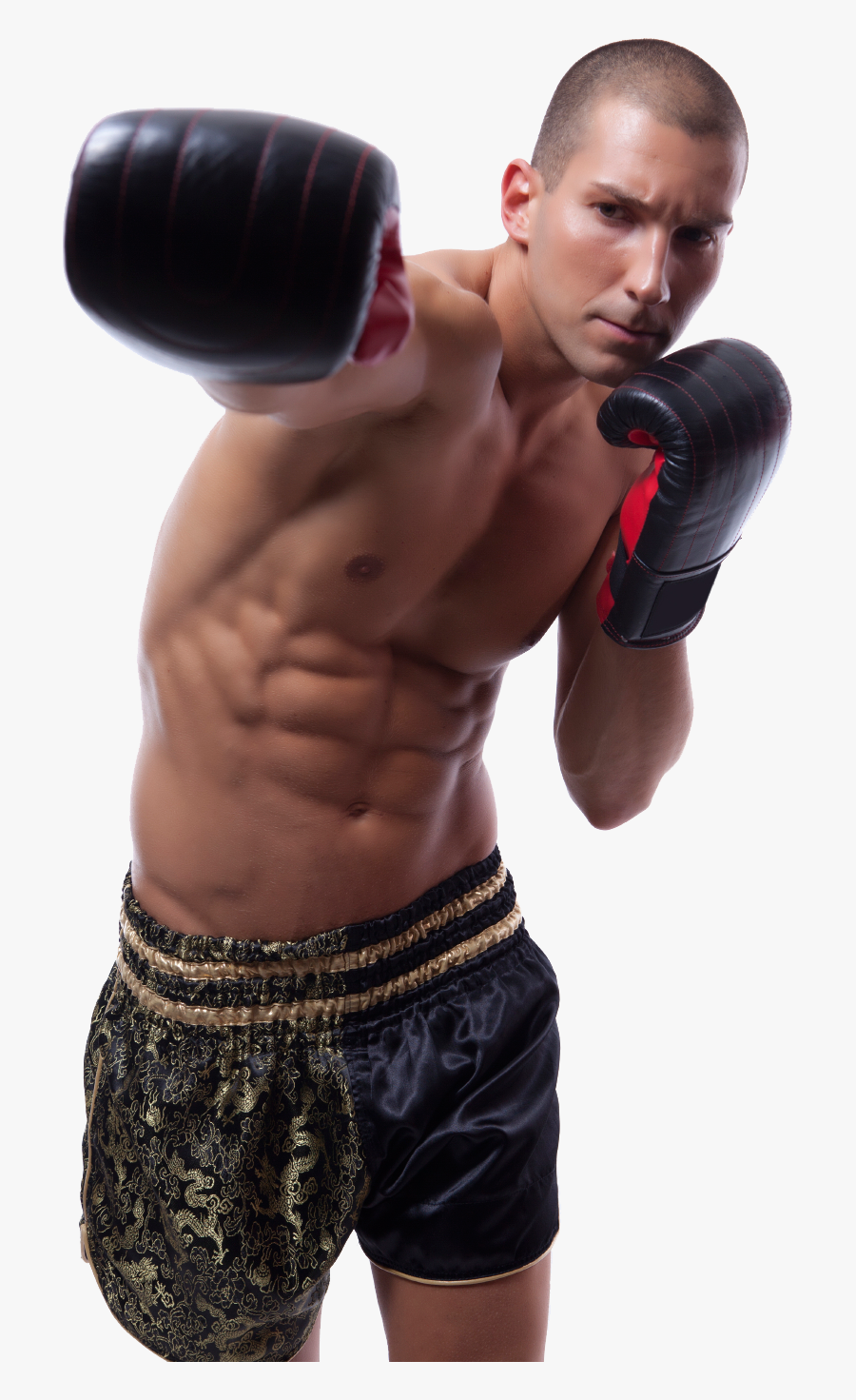 Boxer Man Png, Transparent Clipart