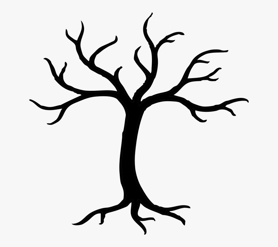 Trunk Clipart Dry Tree - Tree With 5 Branches, Transparent Clipart