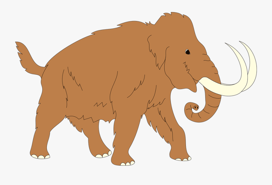 Animal, Ancient, Mammoth, Trunk, Fur, Tusks, Elephant - Mammoth Clipart, Transparent Clipart