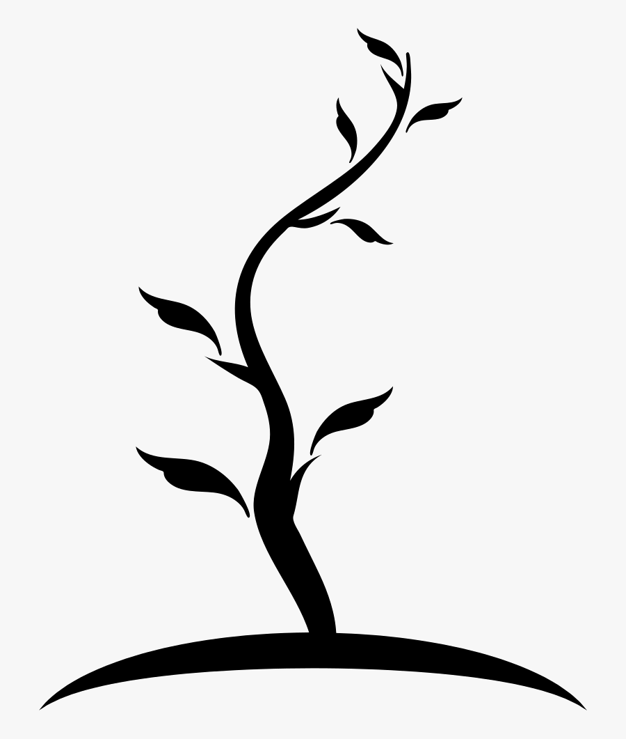 Tree Thin Shape Of Young Trunk With Few Leaves Comments - Arbol Dibujo Y Tronco, Transparent Clipart