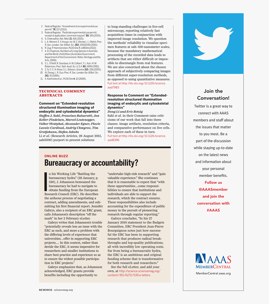 Bureaucracy Or Accountability - Albert Einstein As A Baby, Transparent Clipart