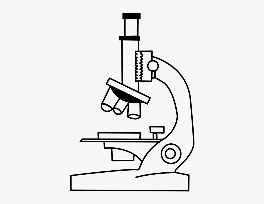Microscope, Lab, Chemistry, Science, Cells, Particles - Microscope Drawing, Transparent Clipart
