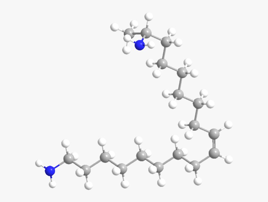 Aminoacidos, Transparent Clipart