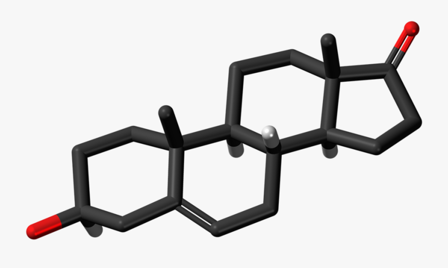 Dehydroepiandrosterone Androstenolone Chemistry, Science - Steroid Molecule Clipart, Transparent Clipart