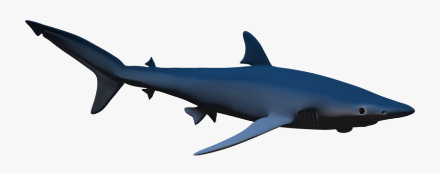 Hammerhead Shark Clip Art - Shark 3d Png, Transparent Clipart
