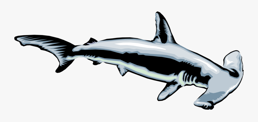 Transparent Mako Shark Clipart - Clip Art Hammerhead Shark, Transparent Clipart